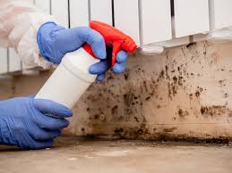 Best Mold Odor Removal Services  in Hampton, AR